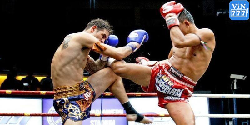 Cá cược Boxing trực tuyến